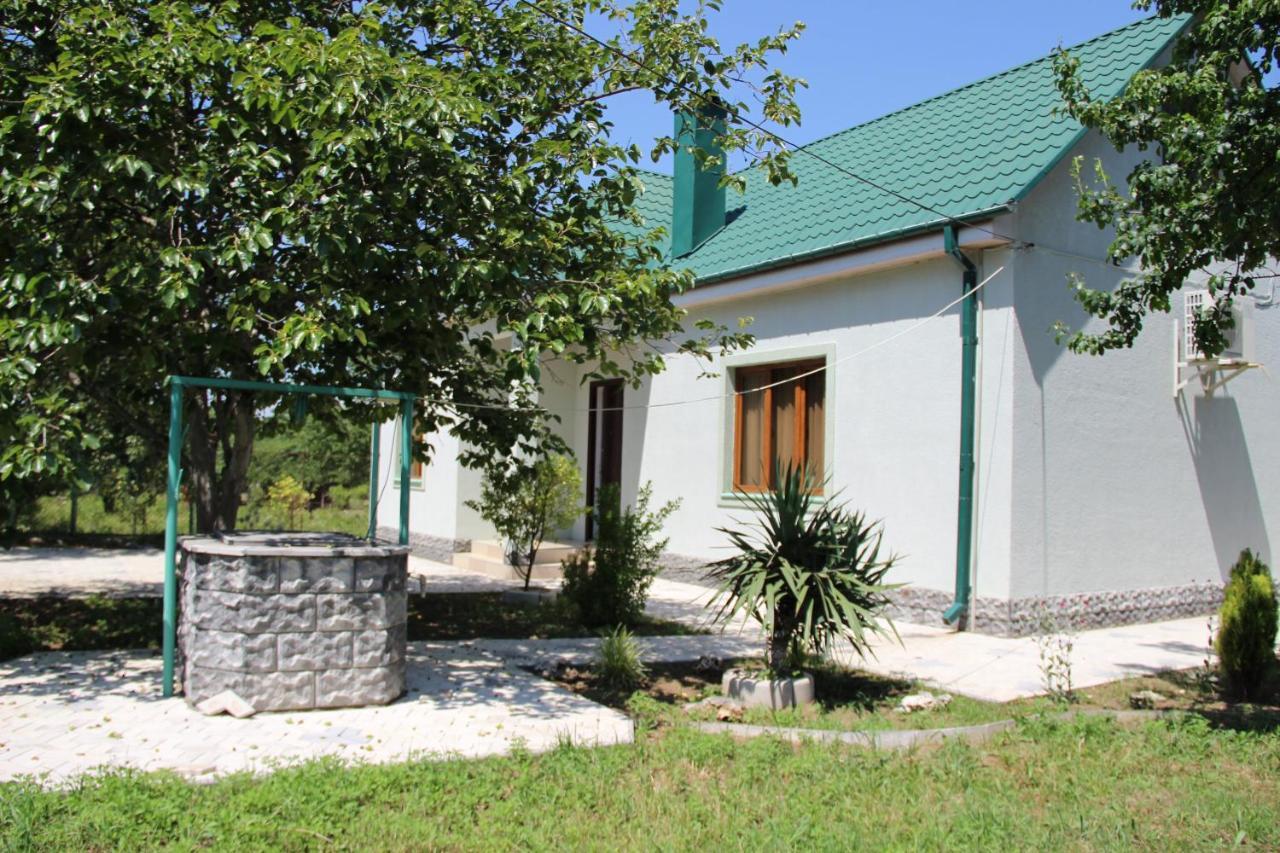Villa Rokiti Kültér fotó