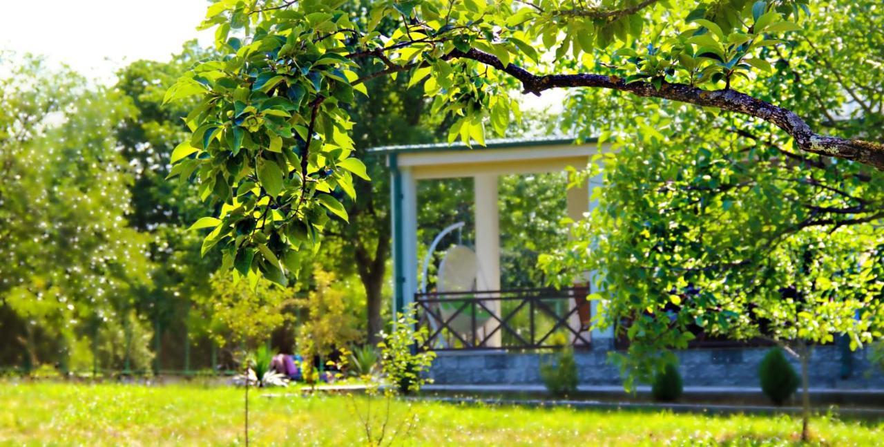 Villa Rokiti Kültér fotó